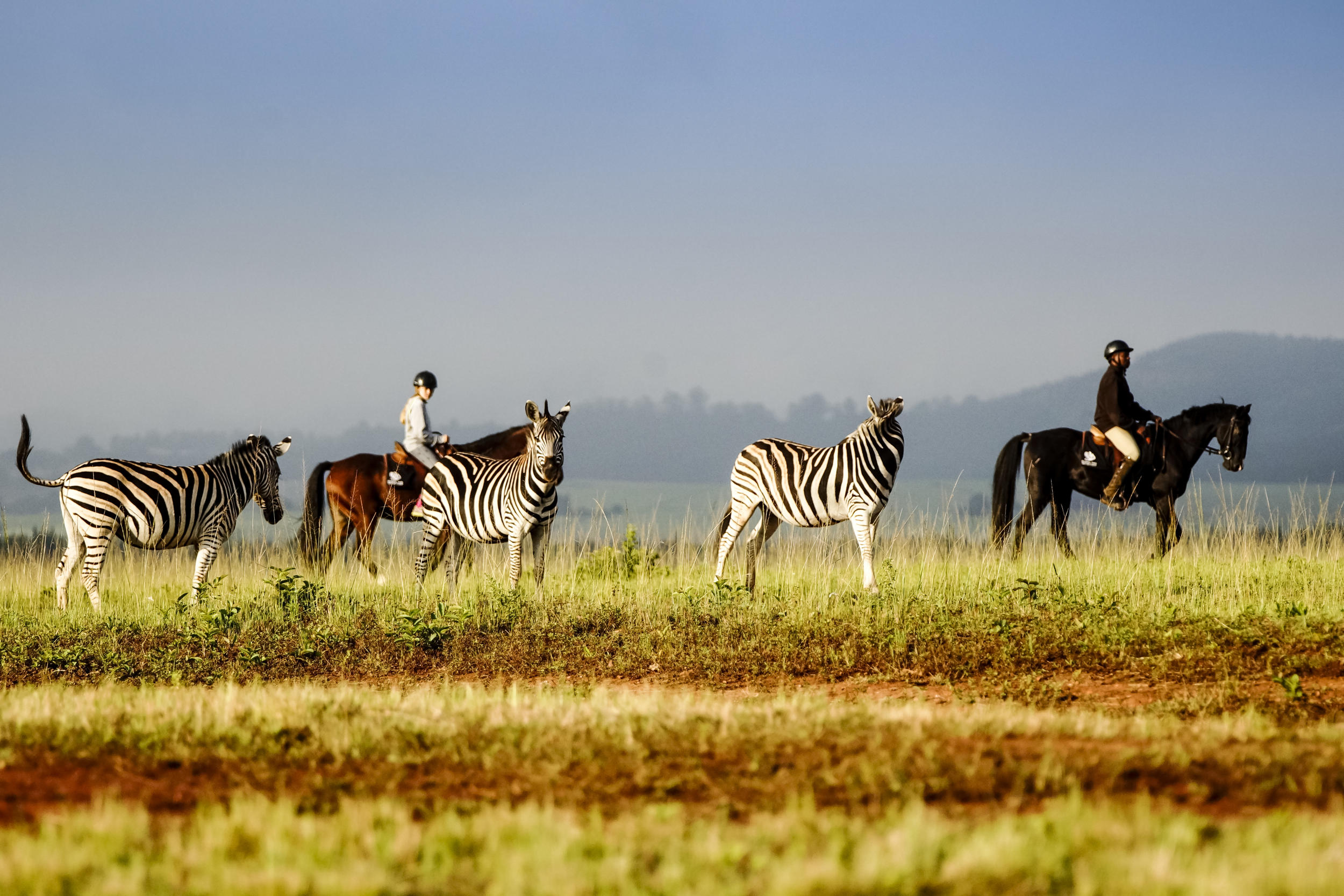 Mlilwane Wildlife Sanctuary Rest Camp